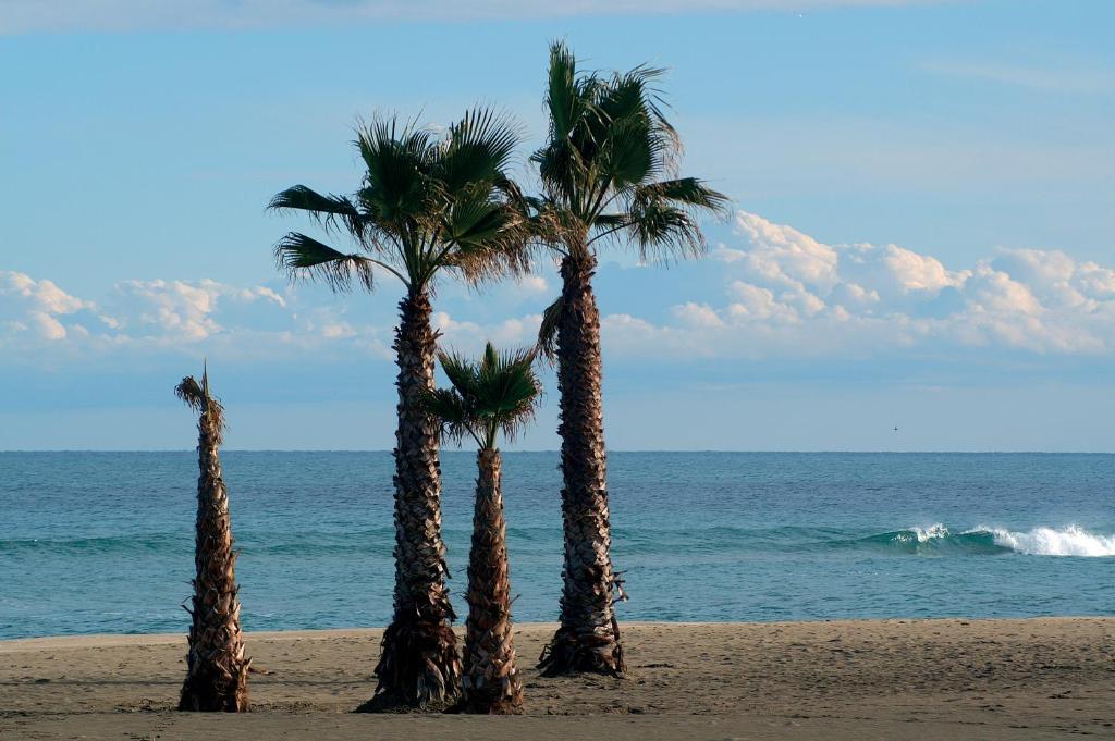 Hotel La Fregate Canet-en-Roussillon Zewnętrze zdjęcie
